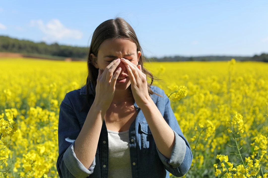 How to create an allergy-friendly garden to enjoy during seasonal allergy season