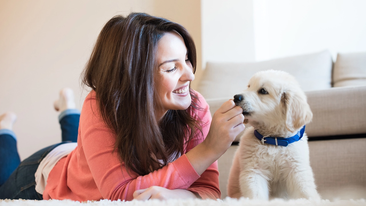 Myeloma and Pets: The Benefits of Animal Companionship